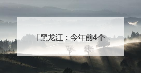 黑龙江：今年前4个月货物贸易进出口总值同比增长2.9%